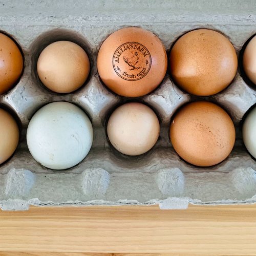 Farmhouse Hen Personalized Logo Organic Eggs Rubber Stamp