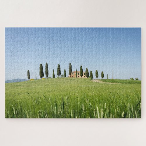 Farmhouse in Tuscany with cypresses and wheat Jigsaw Puzzle