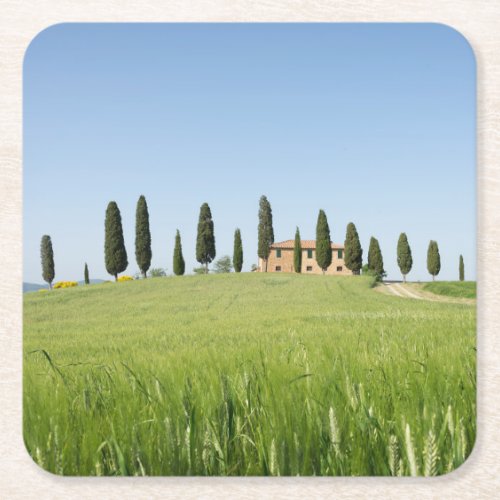 Farmhouse in Tuscany with cypresses coaster