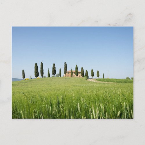 Farmhouse in Tuscany with cypresses postcard