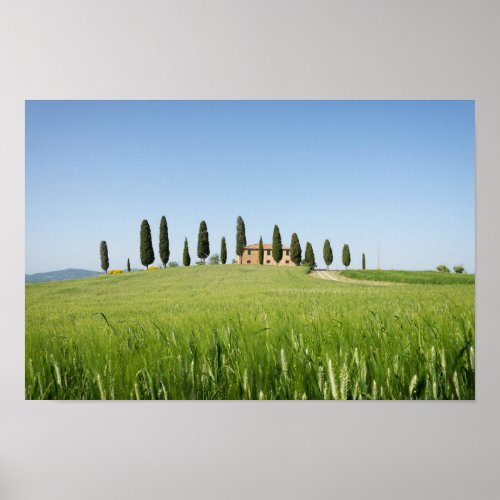 Farmhouse in Tuscany with cypresses poster