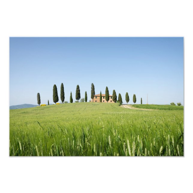 Farmhouse in Tuscany with cypresses print (Front)