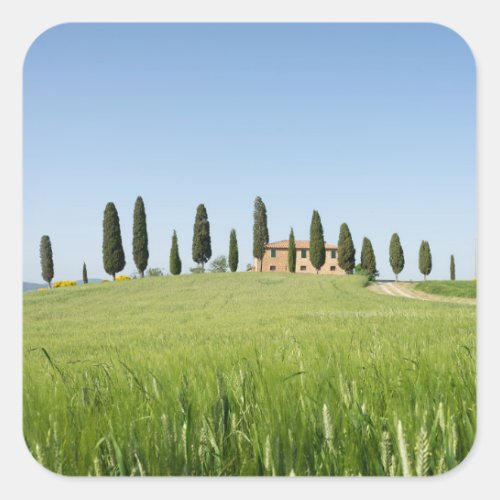 Farmhouse in Tuscany with cypresses sticker