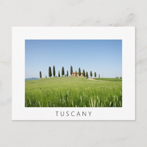 Farmhouse in Tuscany with cypresses white postcard