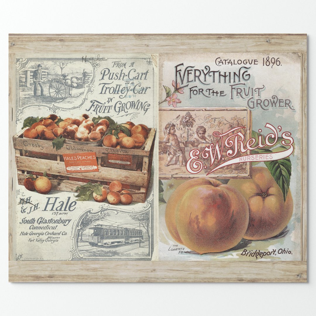 FARMHOUSE PEACHES DECOUPAGE WRAPPING PAPER | Zazzle