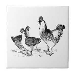 Farmhouse rustic chicken animals kitchen ceramic tile