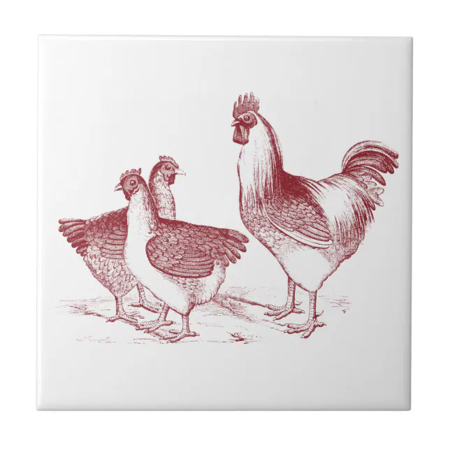 Farmhouse Rustic Chicken Animals Kitchen Ceramic Tile Rd4342001a32b480b8d4c0e10c689f263 Agtk1 8byvr 644.webp