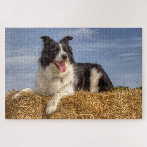 Farming Dog on Hay Bale 1014 Piece Jigsaw Puzzle