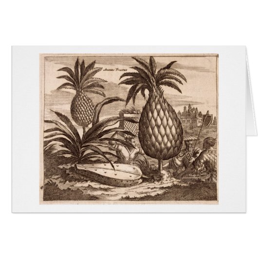 Farming Large Pineapples, illustration from a desc Cards (Front Horizontal)