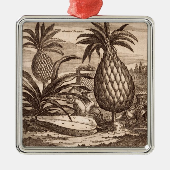 Farming Large Pineapples, illustration from a desc Metal Ornament (Front)