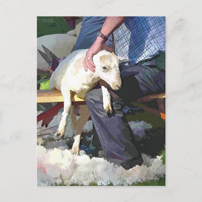 FARMING POSTCARD (Front)