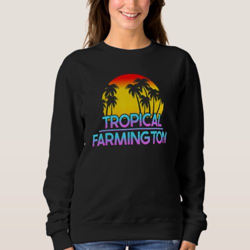 Farmington Minnesota Funny Ironic Weather 1 Sweatshirt