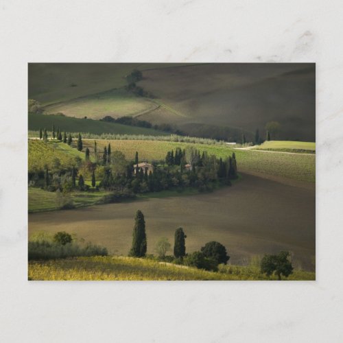 Farmland around Montepulciano Tuscany Italy Postcard