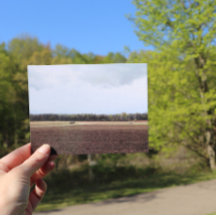 Farmland Midwest Sky Midwestern Skies Nature Trees