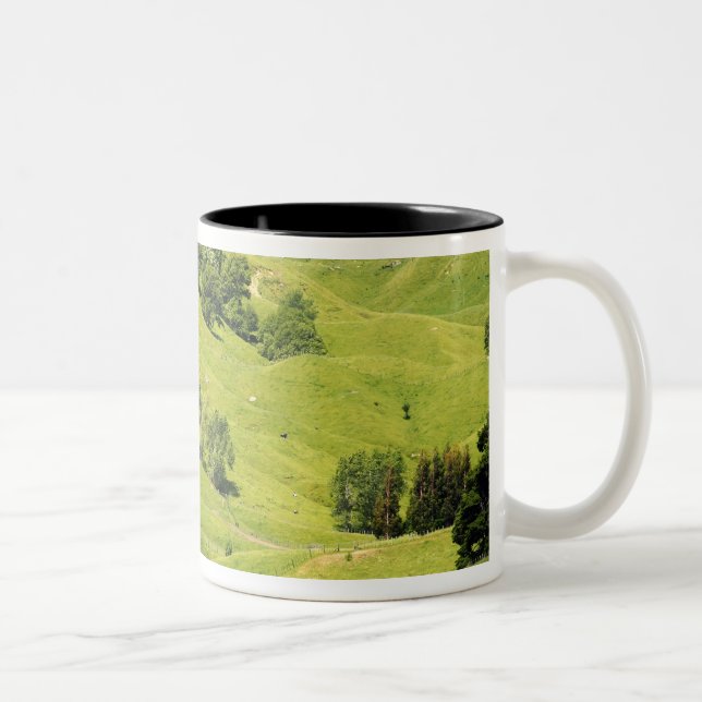 Farmland near Gisborne, New Zealand Two-Tone Coffee Mug (Right)