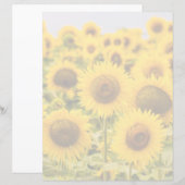 Farms | A Sunflower Field (Front/Back)