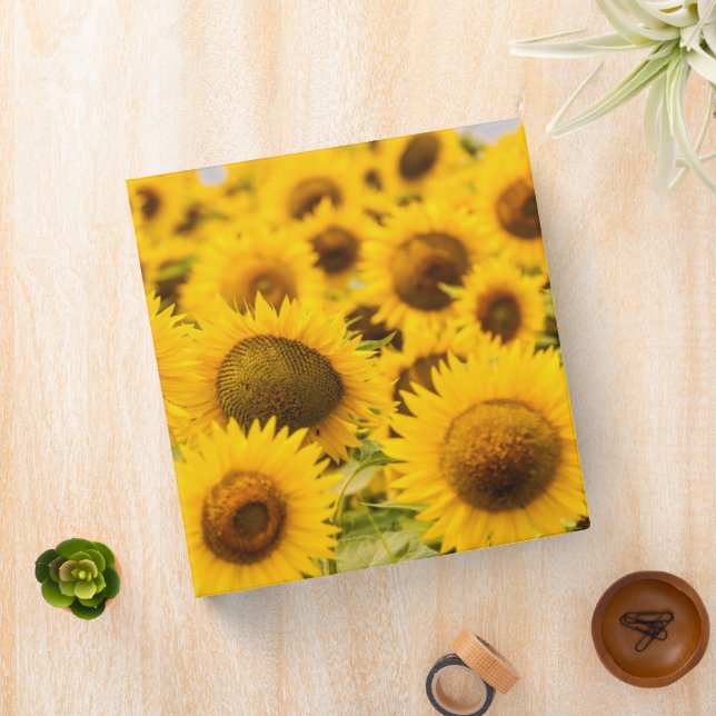 Farms | A Sunflower Field 3 Ring Binder (In Situ)