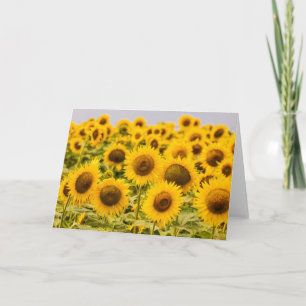 Farms A Sunflower Field Card