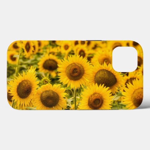 Farms  A Sunflower Field iPhone 13 Case