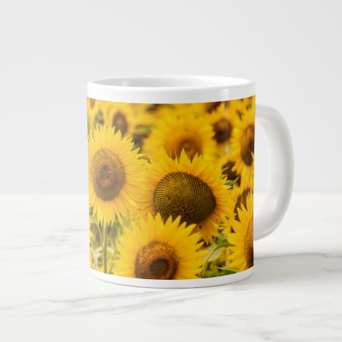 Farms  A Sunflower Field Giant Coffee Mug