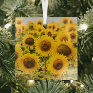 Farms A Sunflower Field Glass Ornament