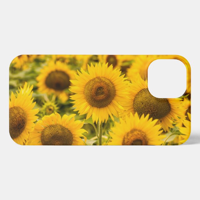 Farms | A Sunflower Field iPhone Case (Back Horizontal)