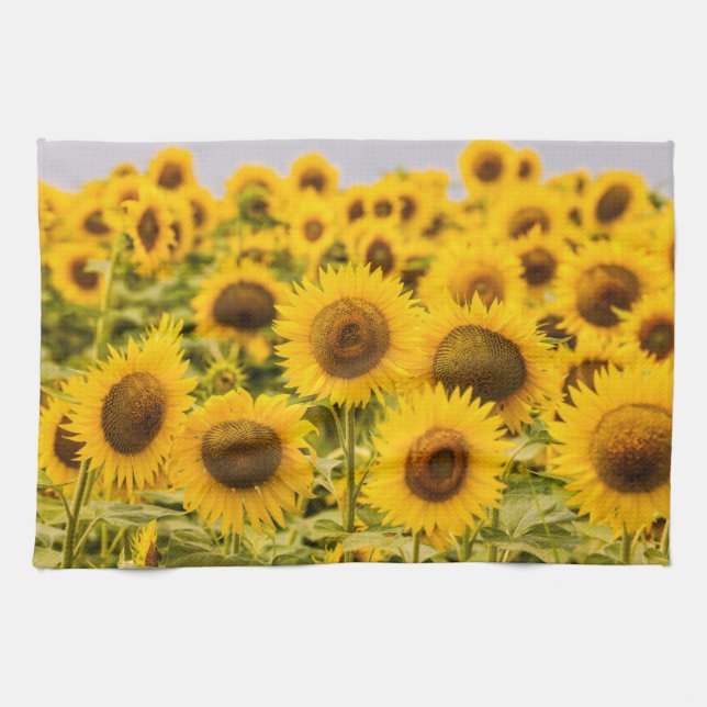 Farms | A Sunflower Field Kitchen Towel (Horizontal)