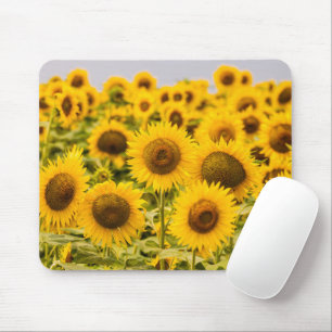 Farms   A Sunflower Field Mouse Pad