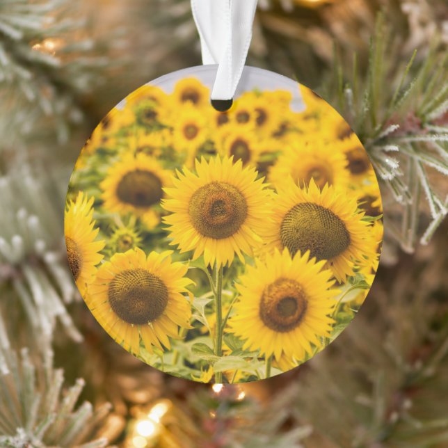 Farms | A Sunflower Field Ornament (Tree)