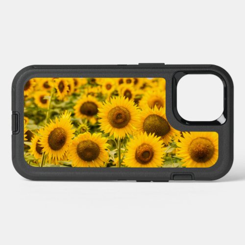 Farms  A Sunflower Field iPhone 13 Case