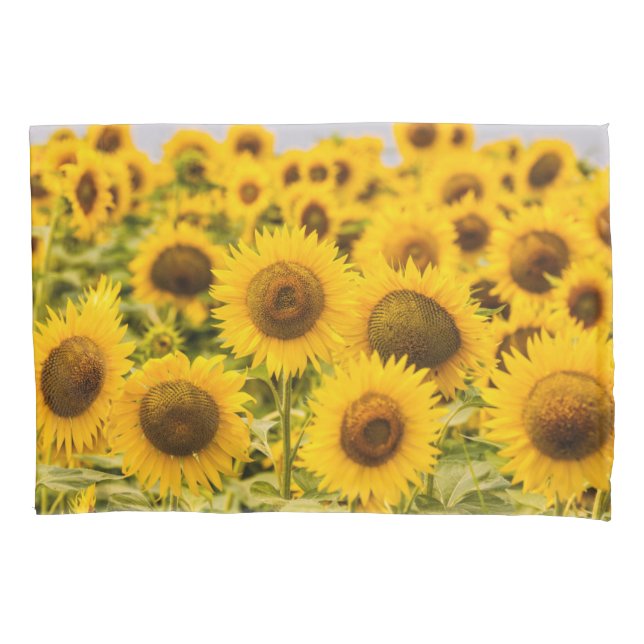 Farms | A Sunflower Field Pillow Case (Front)