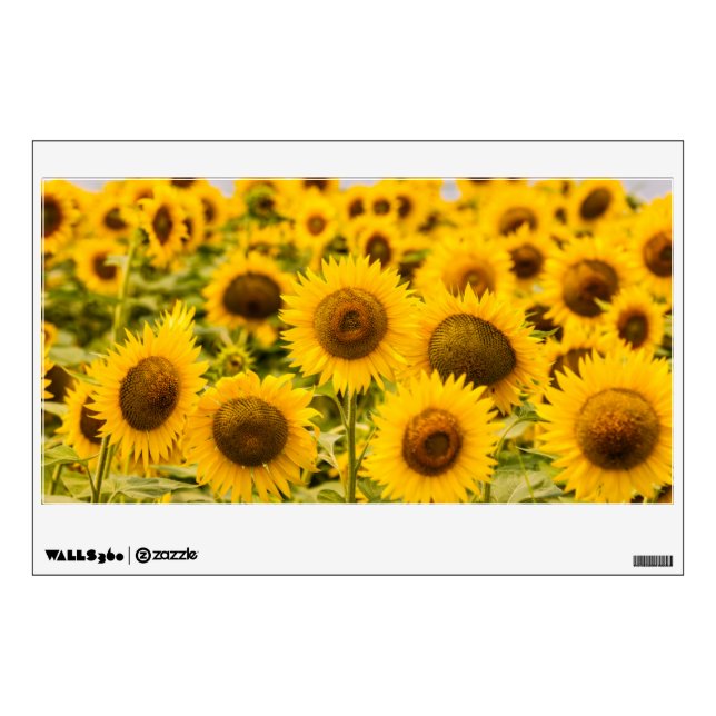 Farms | A Sunflower Field Wall Decal (Front)