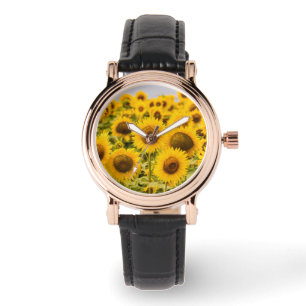 Farms A Sunflower Field Watch