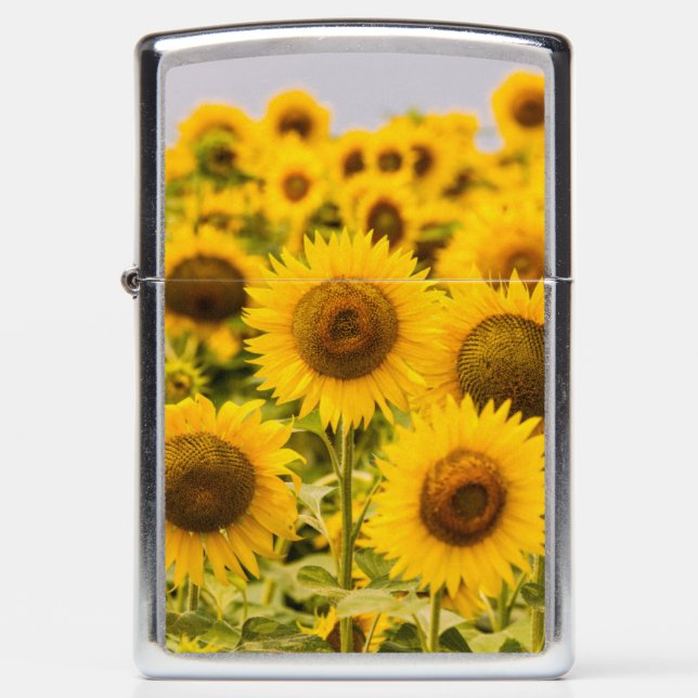 Farms | A Sunflower Field Zippo Lighter (Front)