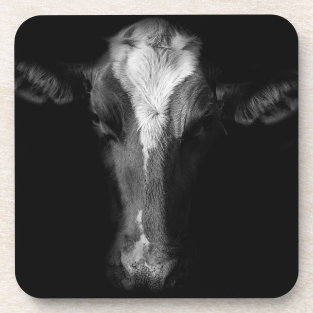 Farms | B&W Cow Head Shot Beverage Coaster (Front)