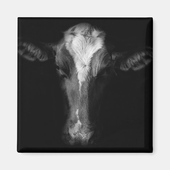 Farms | B&W Cow Head Shot Magnet (Front)