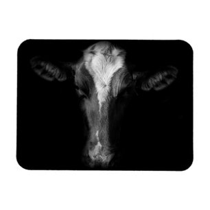 Farms B&W Cow Head Shot Magnet