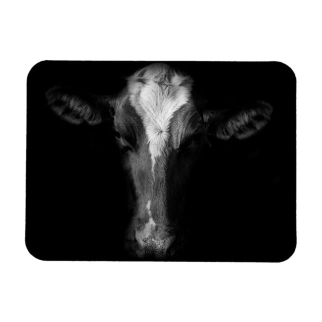 Farms | B&W Cow Head Shot Magnet (Horizontal)