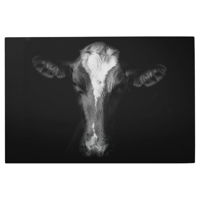 Farms | B&W Cow Head Shot Metal Print (Front)