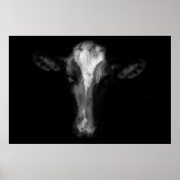 Farms | B&W Cow Head Shot