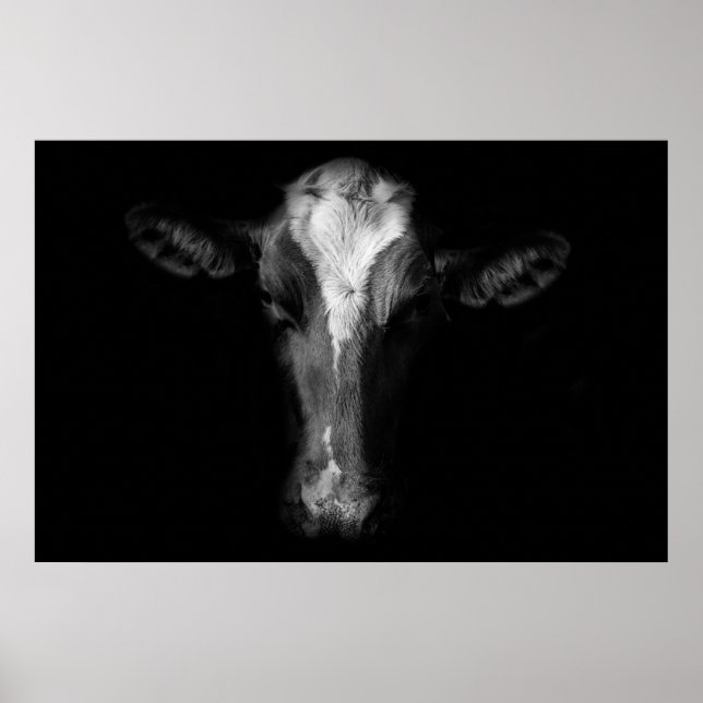 Farms | B&W Cow Head Shot Poster (Front)