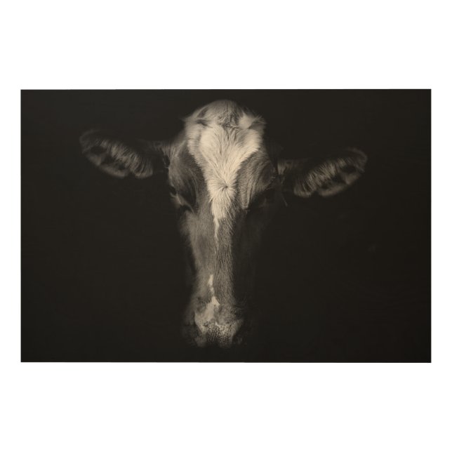 Farms | B&W Cow Head Shot Wood Wall Art (Front)