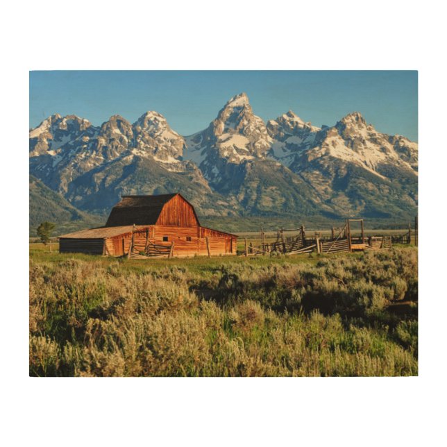 Farms | Barn Shadowed by Snow Capped Mountains Wood Wall Art (Front)