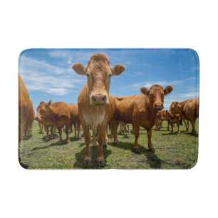 Farms   Brown Cow Group Bath Mat