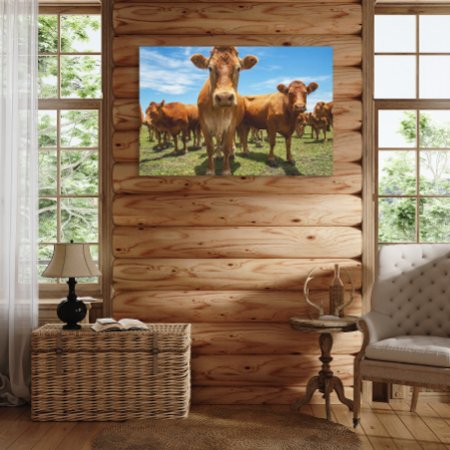Farms | Brown Cow Group Canvas Print