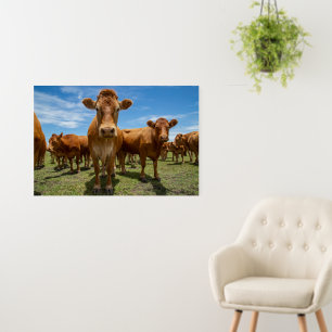 Farms Brown Cow Group Foam Board