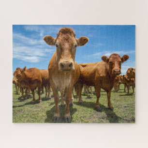 Farms Brown Cow Group Jigsaw Puzzle