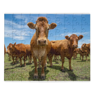 Farms Brown Cow Group Jigsaw Puzzle