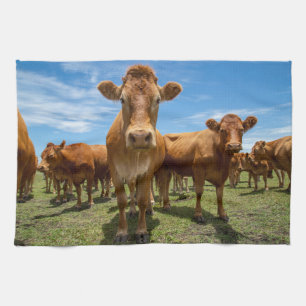 Farms   Brown Cow Group Kitchen Towel