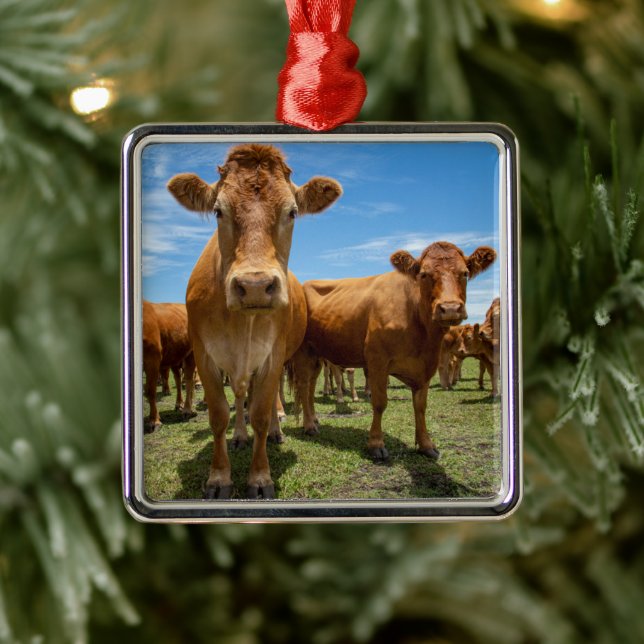 Farms | Brown Cow Group Metal Ornament (Tree)